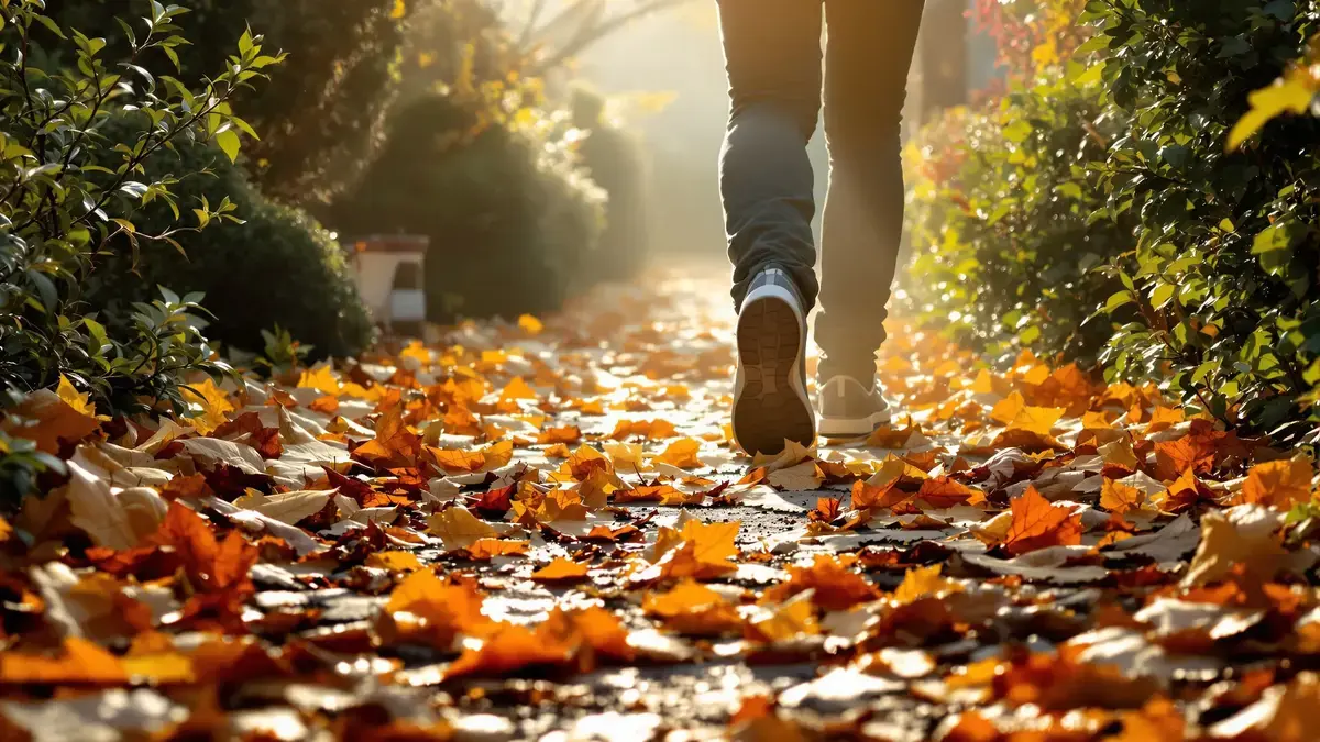 Wat u elke dag vertrapt beschermt uw planten beter dan alle soorten mulch op de markt