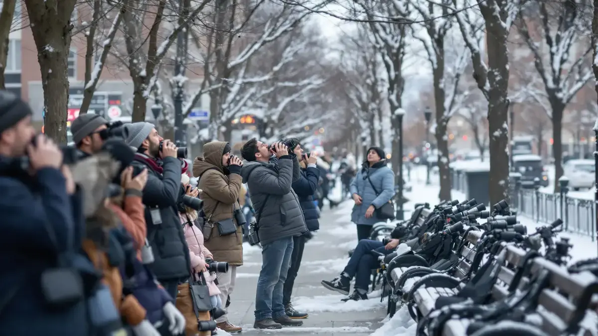 De aantrekkingskracht van ornithologen op deze ultrazeldzame vogel in Montreal verbergt een onbekende realiteit