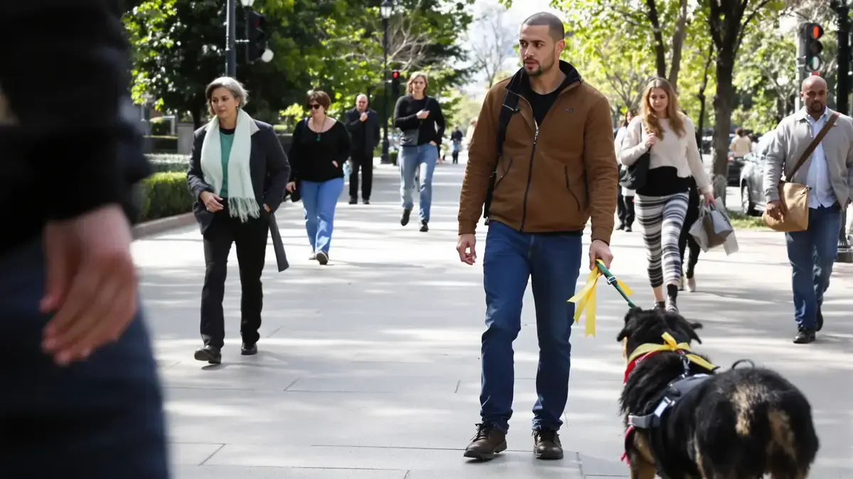 Het gele lintje aan de hondenriem is een cruciaal signaal dat veel mensen ervoor kiezen te negeren.