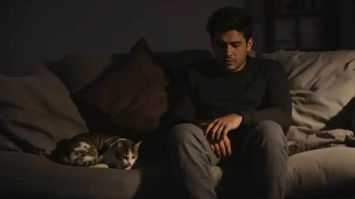 Deskundigen zijn het eens: uw kat kan uw emoties begrijpen en dat is geen simpele overtuiging want zij leggen uit dat dit uw relatie kan verstoren