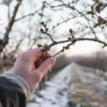 Featured image placeholder 16:9