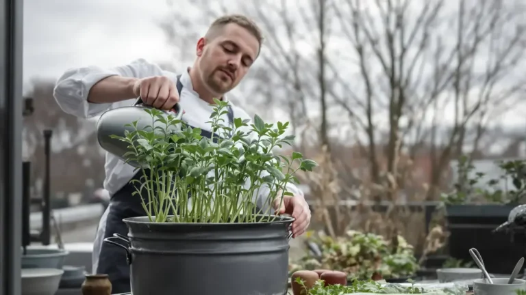 Deze aromatische plant, herontdekt door chef-koks, kun je nu makkelijk in pot kweken