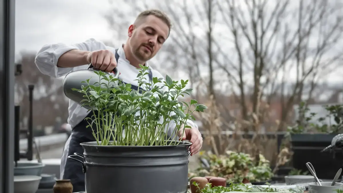 Deze aromatische plant, herontdekt door chef-koks, kun je nu makkelijk in pot kweken