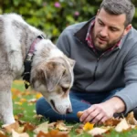 Featured image placeholder 16:9