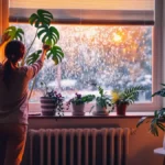 Featured image placeholder 16:9