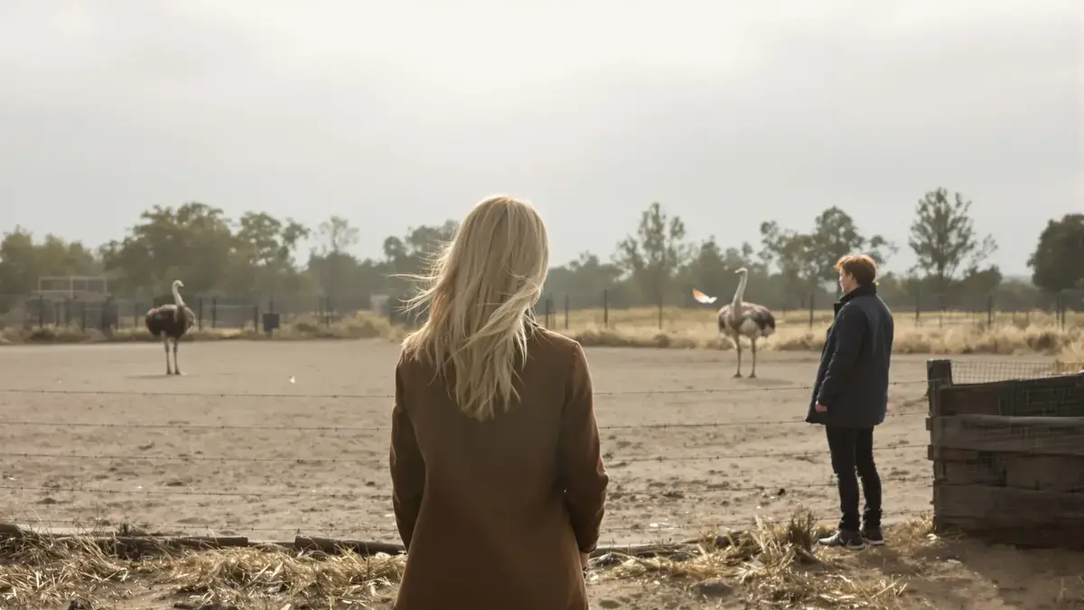 Deskundigen zijn het eens: de voorouder van de struisvogel kon vliegen maar het opgeven van deze vaardigheid kan onbekende gevolgen hebben